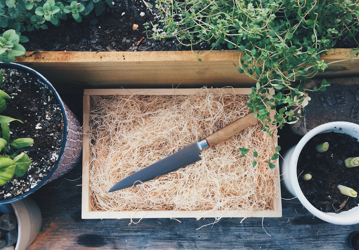 Sustainable packaging and organic resources